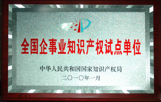 仁和集團被確定為“全國企事業知識產權試點單位”